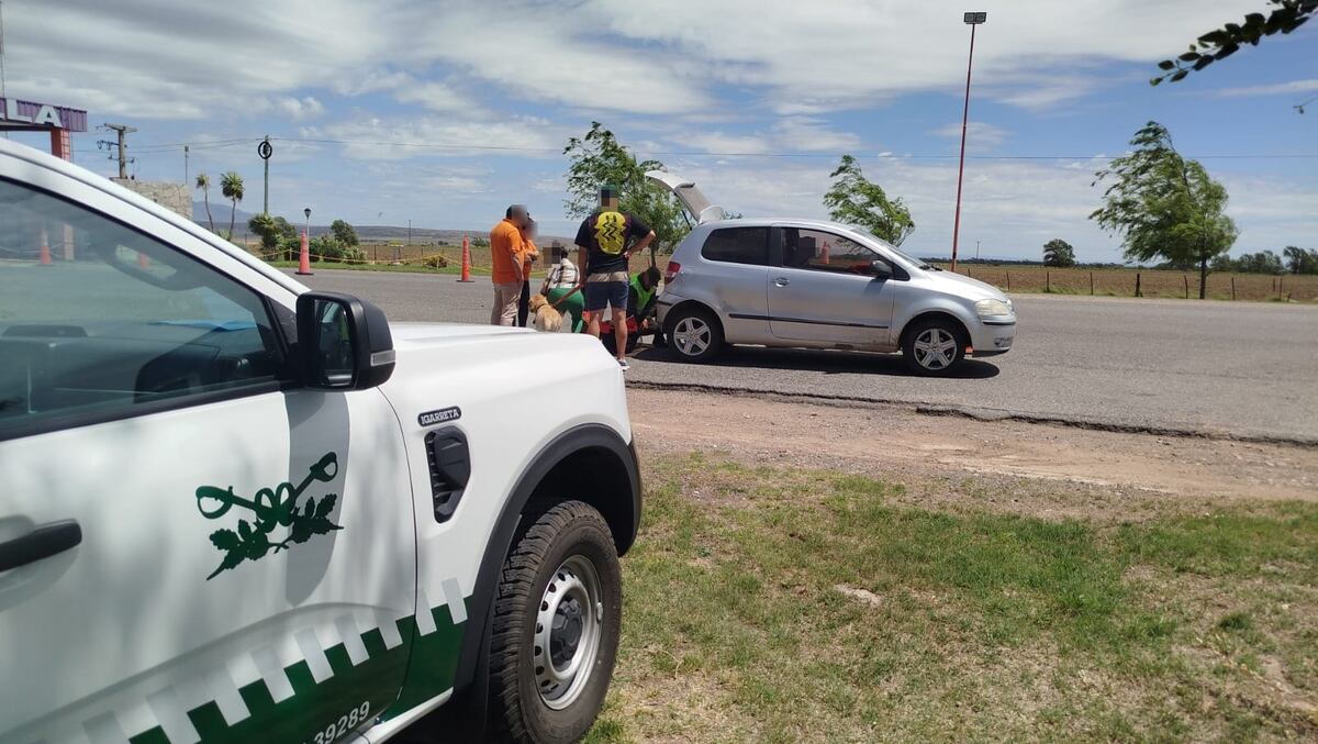 Operativo. Incautaron dólares sin declarar y drogas. (Gentileza Ministerio de Seguridad de la Nación)