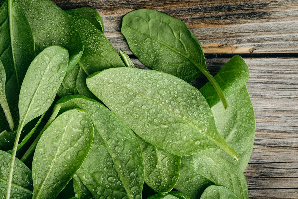 Espinaca. 6 alimentos ricos en magnesio. (Freepik)