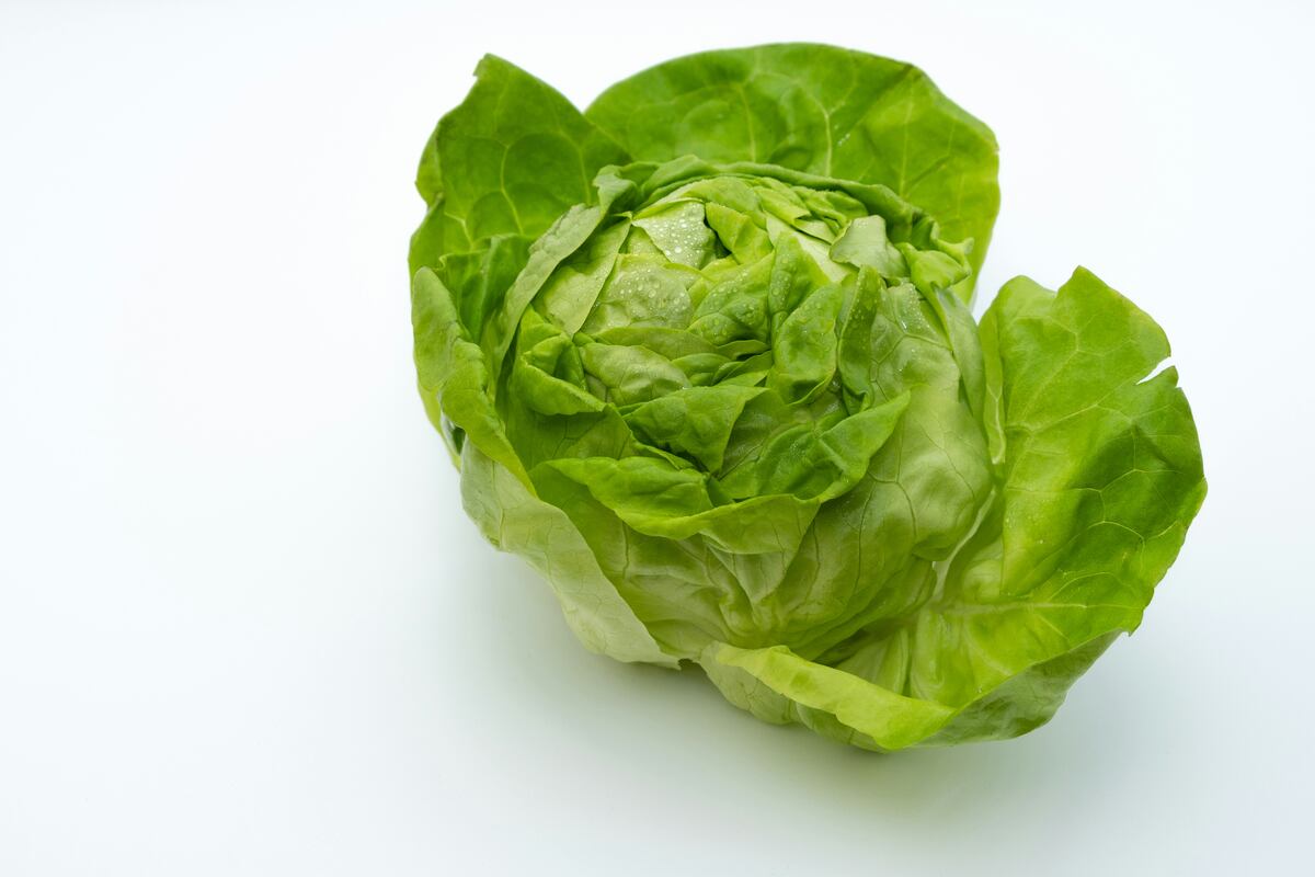 El truco viral para que la lechuga dure fresca por semanas en la heladera