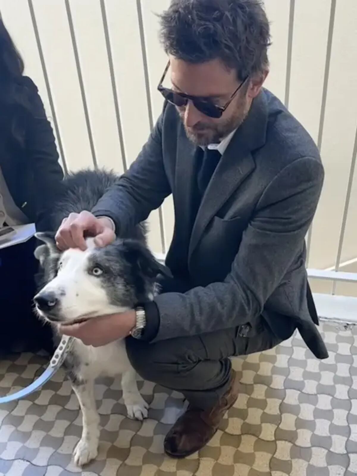 Bradley Cooper junto a Messi, el perro de "Anatomía de una caída". (Foto: Instagram)