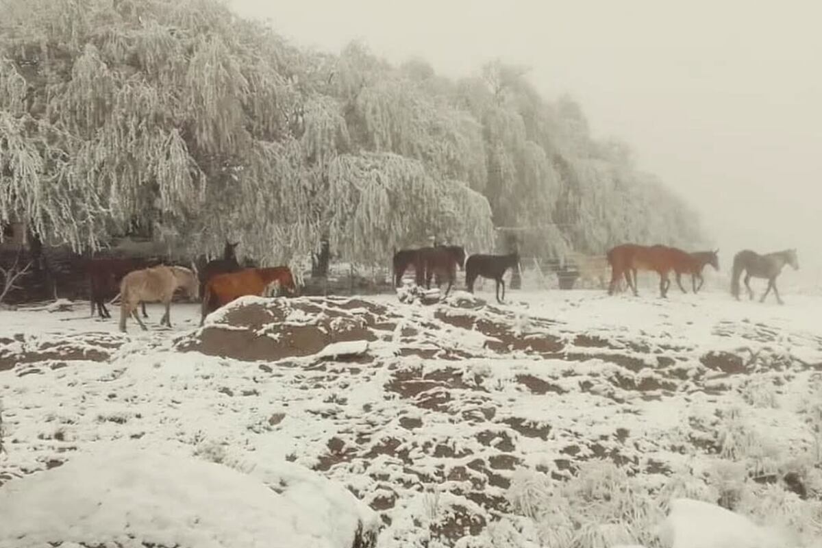 Nieve en el cerro Champaquí (Gentileza Traslasierra Noticias).