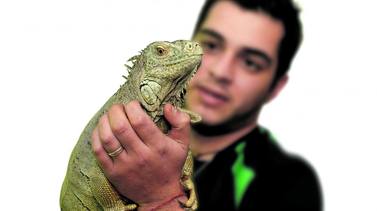 El 25% de los bichos raros que no tienen mascota