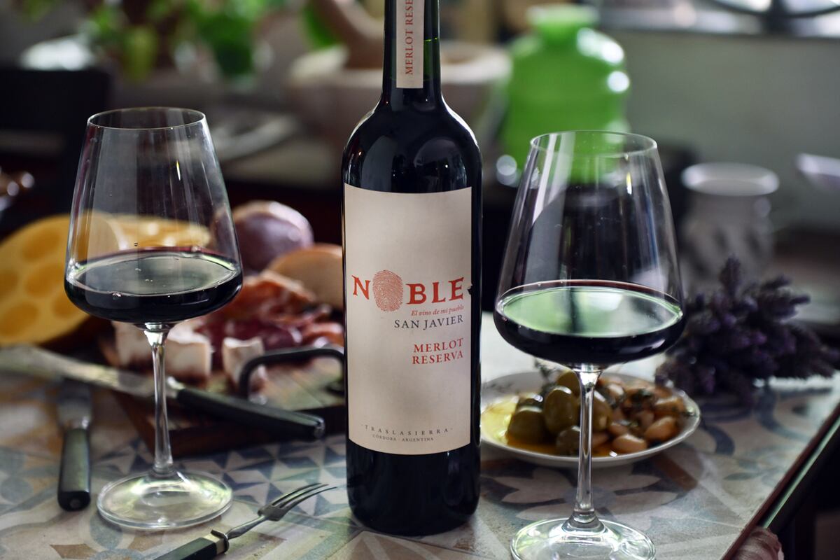 Noble Reserva Bodega San Javier Traslasierra 2022 Córdoba (Javier Ferreyra).