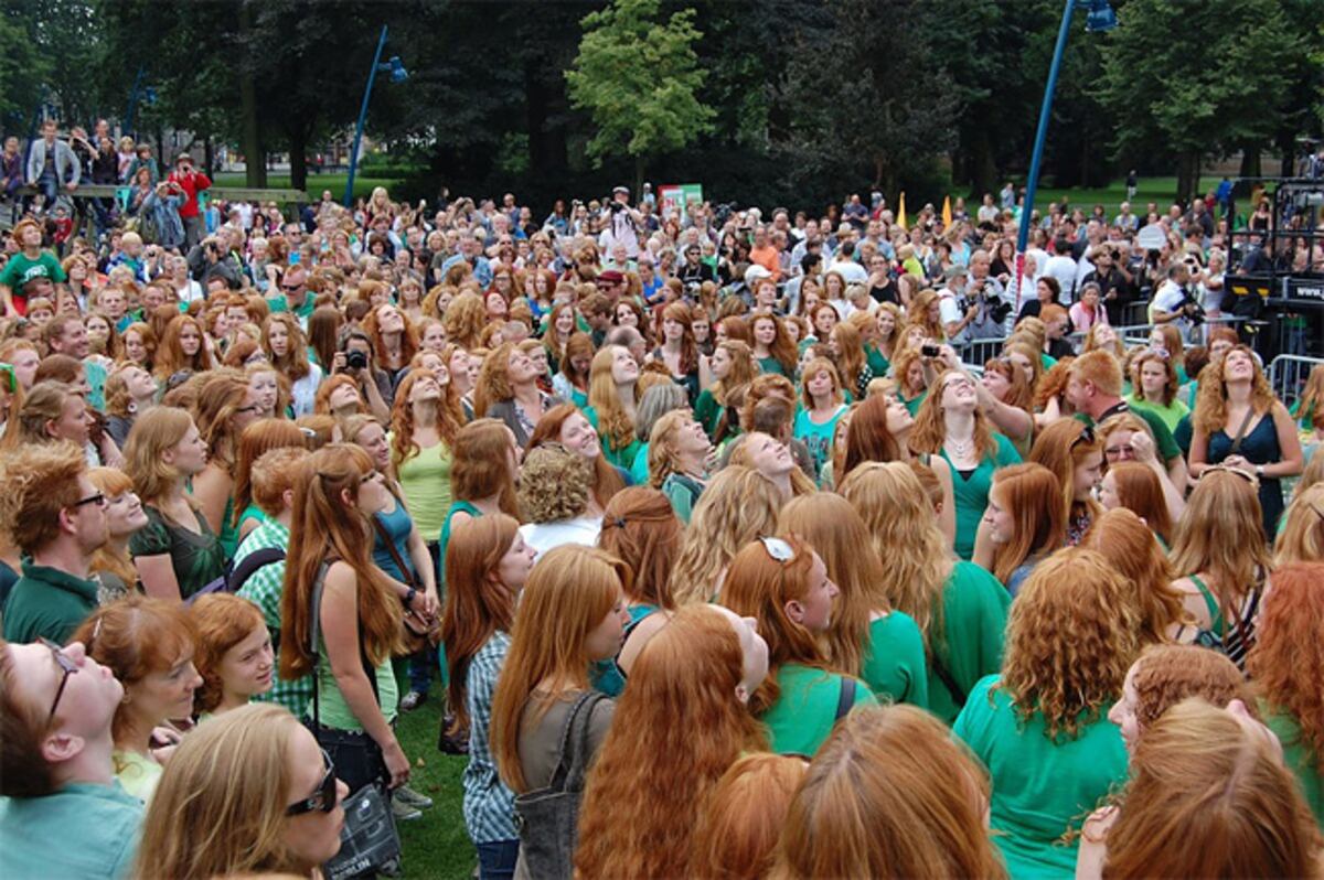 Redhead days se celebra en Países Bajos. (Wikipedia)