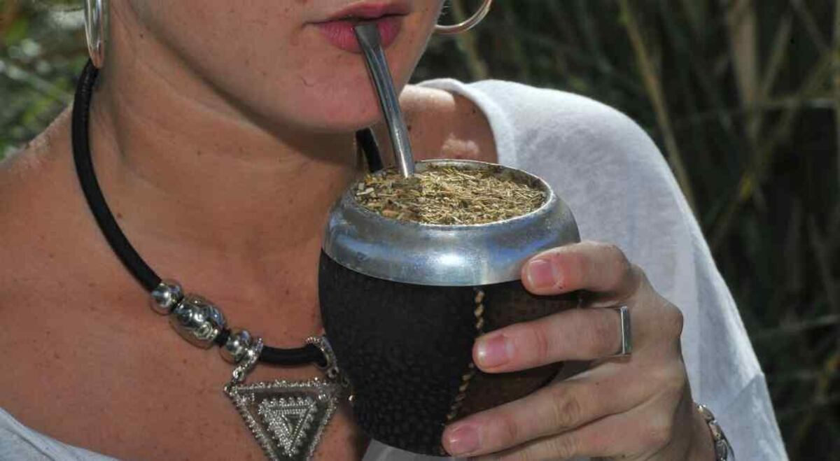 Yerba mate y Parkinson: el autor del artículo científico relativizó los alcances