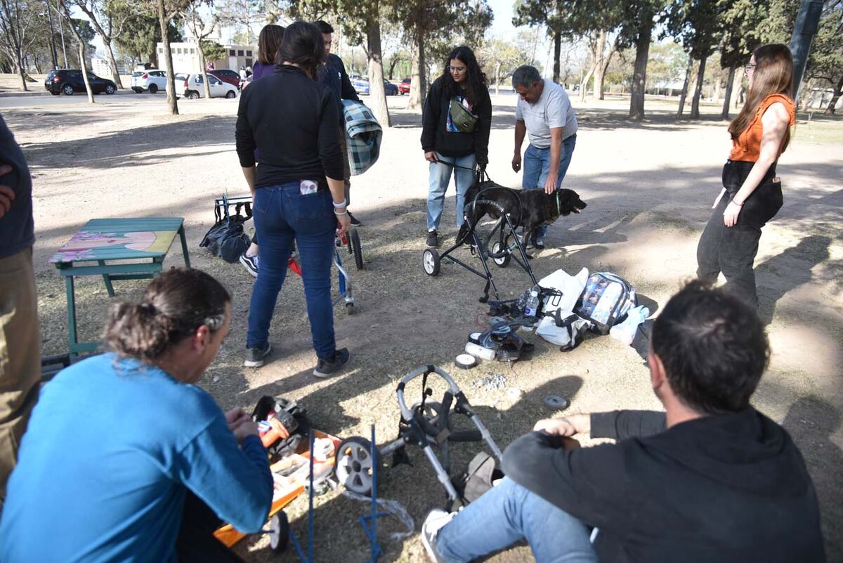 El taller se realiza una sola vez al mes. Sin embargo hay muchas actividades de las cuales participar. (Facundo Luque / La Voz)