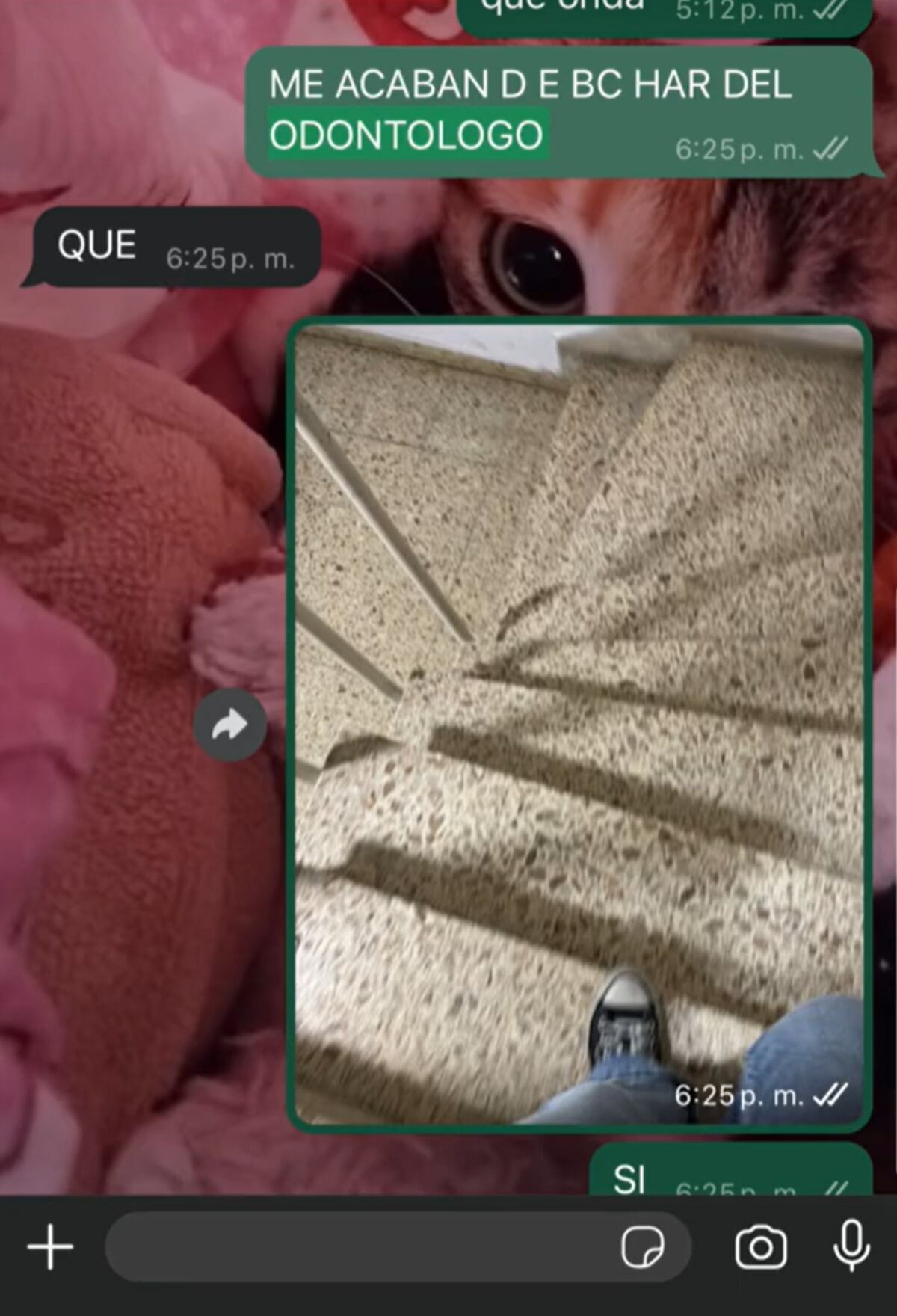 La joven compartió un chat del momento.
