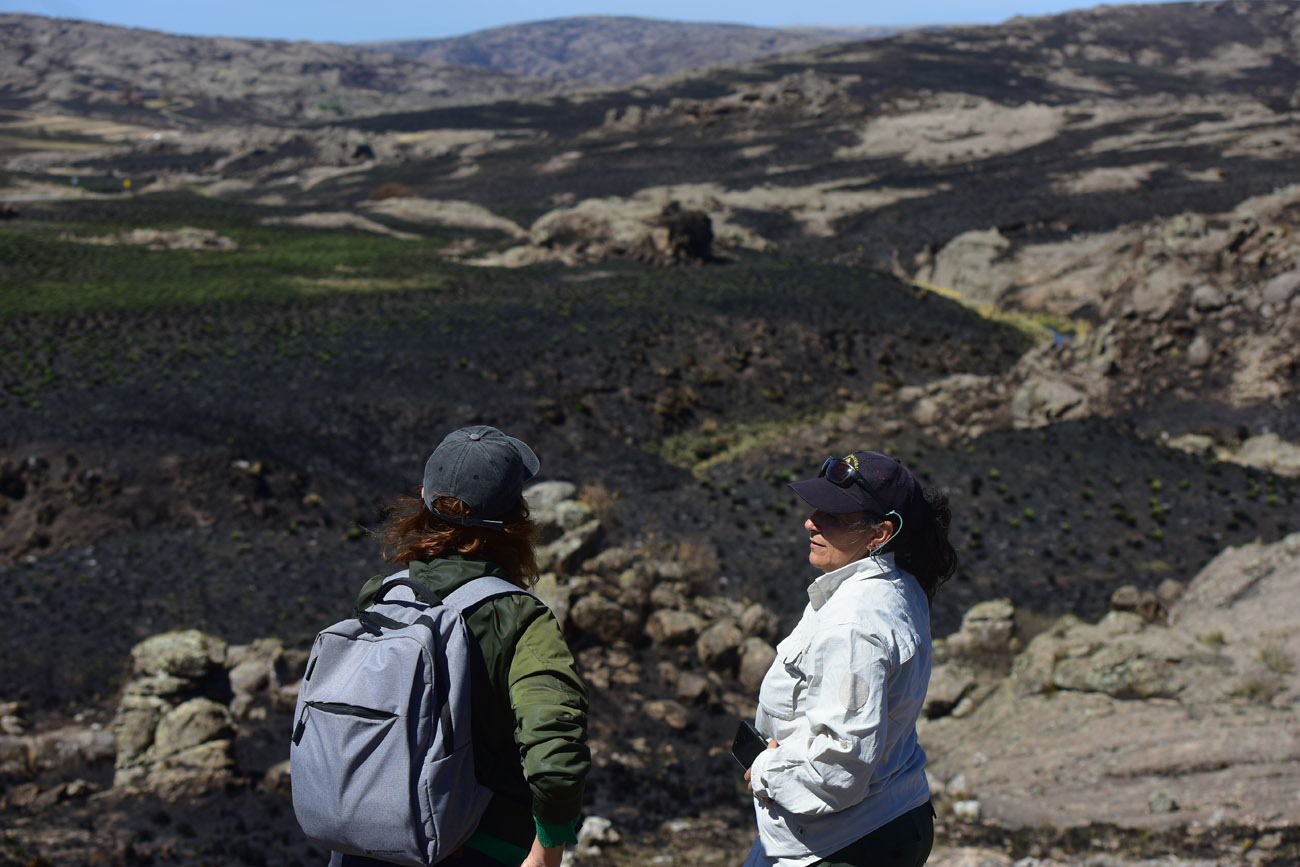Parque Nacional Quebrada del Condorito. El impacto del fuego, días después de controlado el incendio de octubre de 2025. Aún se trata de zonas en recuperación ahora. (Nicolás Bravo / La Voz)