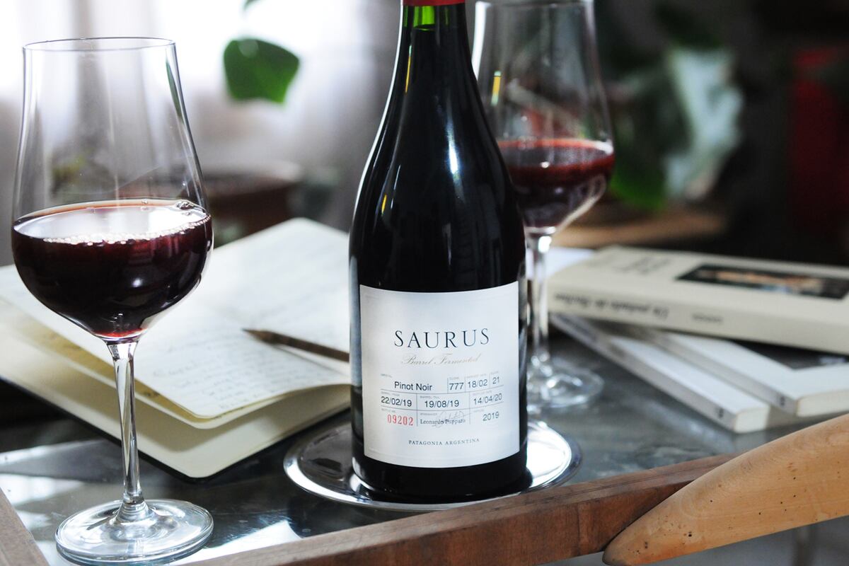 Saurus Familia Schroeder Barrel Fermented 2019 Neuquén (Javier Ferreyra)