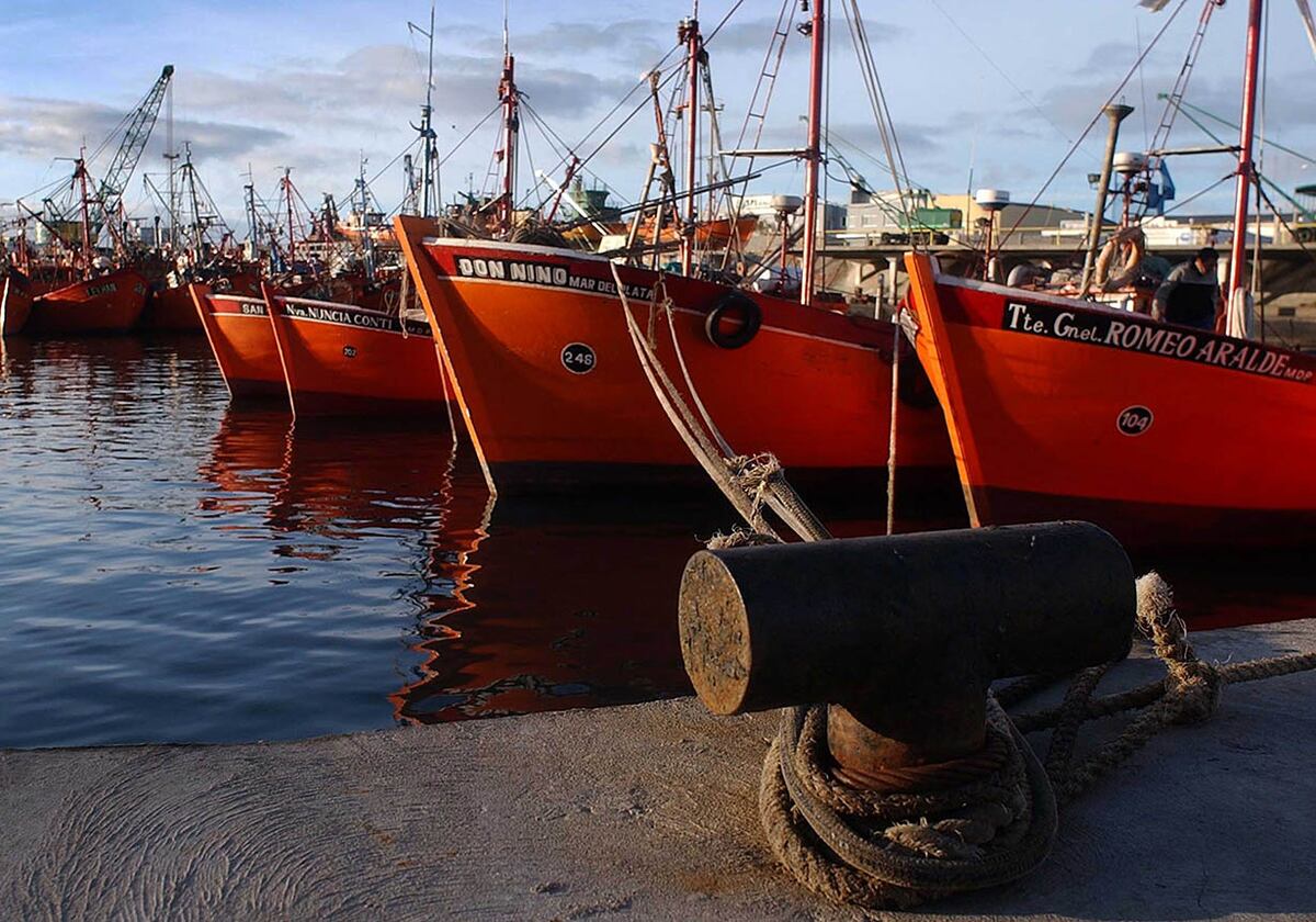 Postales del puerto de Mar del Plata, para descubrir en una visita turística. (Foto: Inprotur)