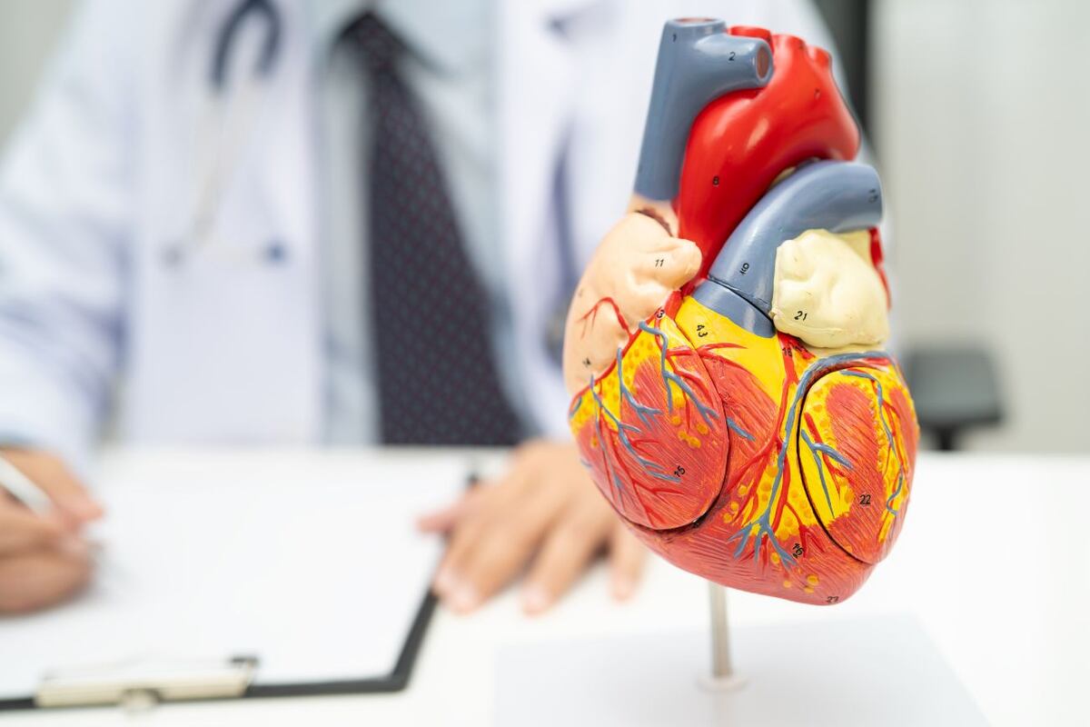 Afirman que la herramienta debería funcionar principalmente como un catalizador para discusiones informadas entre pacientes y profesionales de la salud, más que como un sustituto diagnóstico. (Imagen ilustrativa)