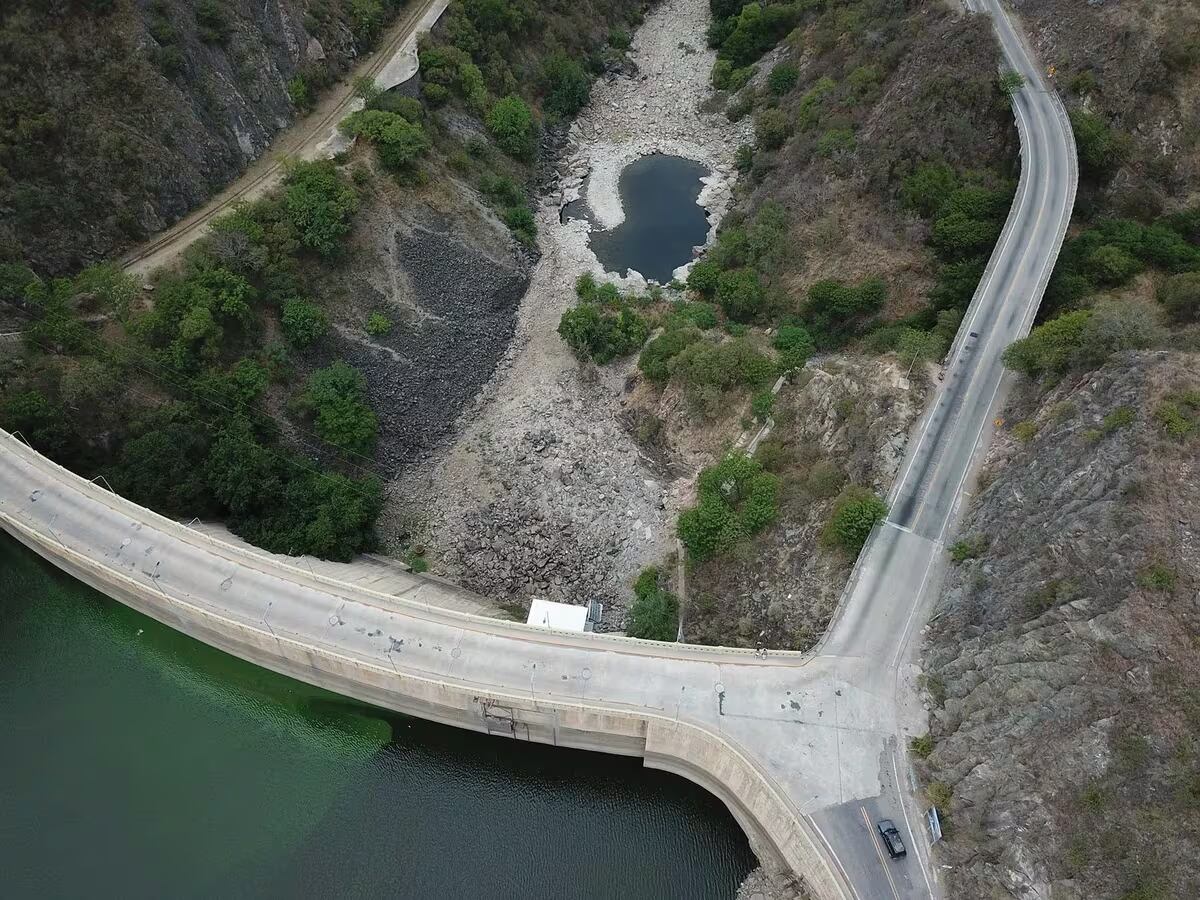 Imagen de la nota