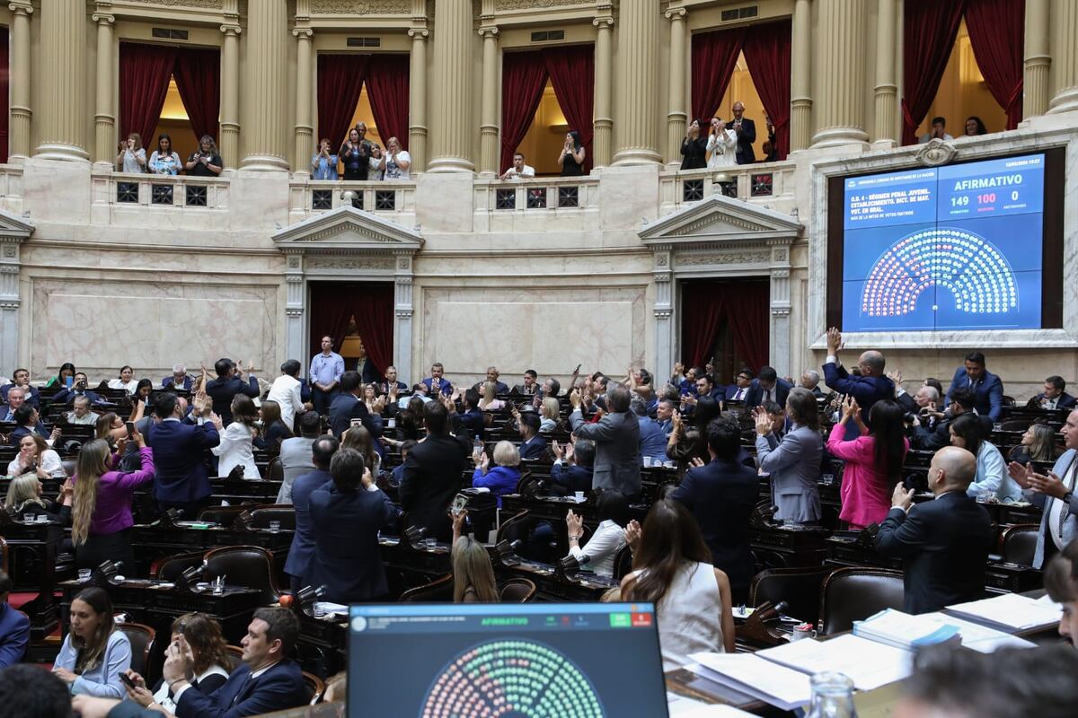 La Cámara de Diputados aprobó la Ley Penal Juvenil con 149 votos positivos y 100 negativos (Foto: HCDN)