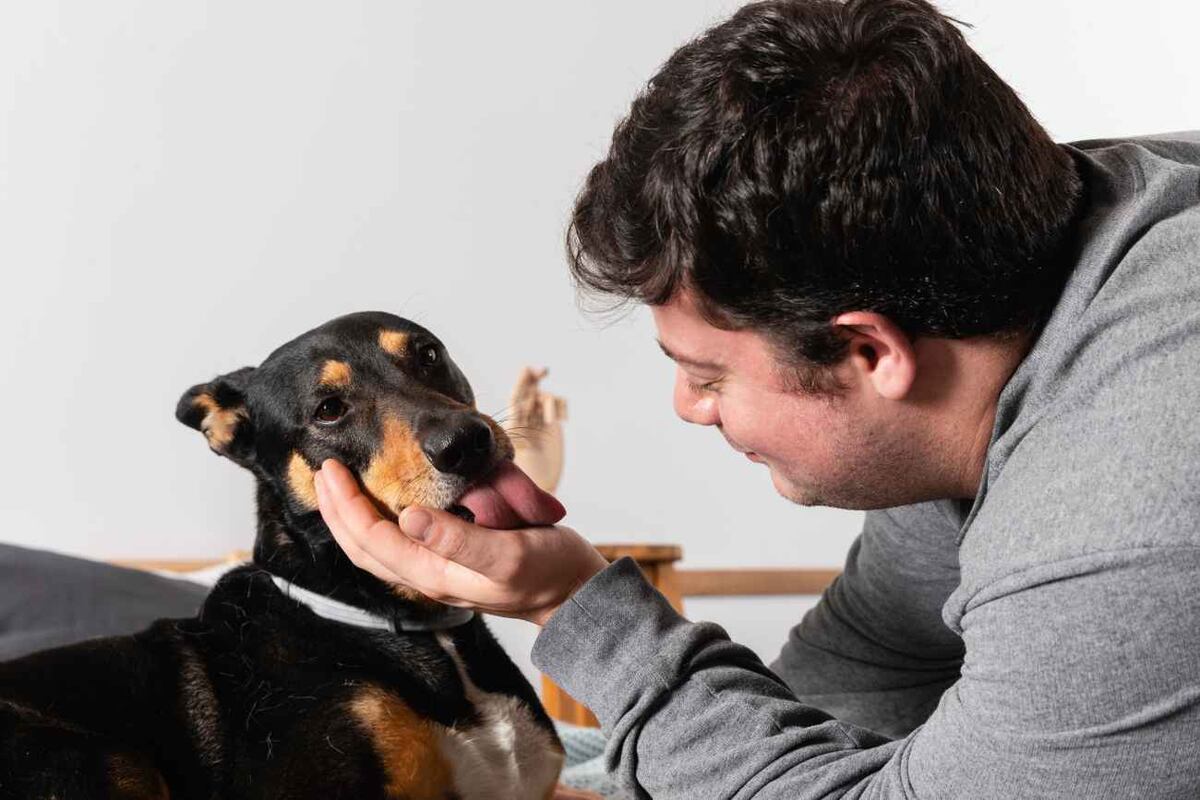 Que un perro lama a una persona es un gesto tan común que rara vez se cuestiona. (Freepik)