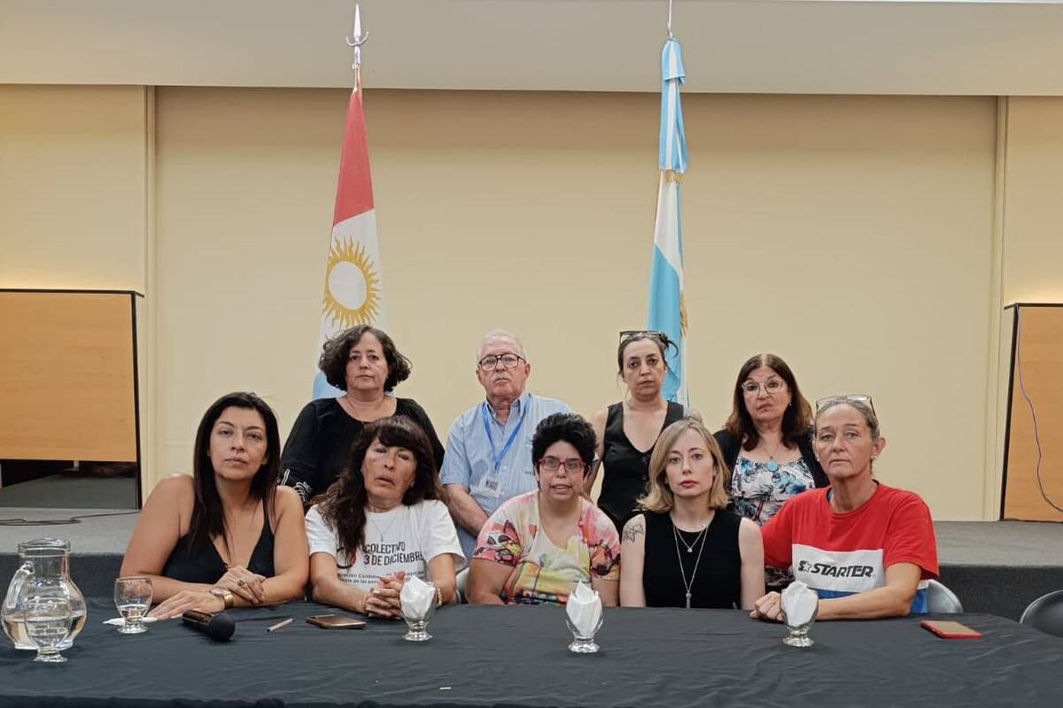 Sectores de la discapacidad en alerta por la derogación de la ley de emergencia. (Gentileza)