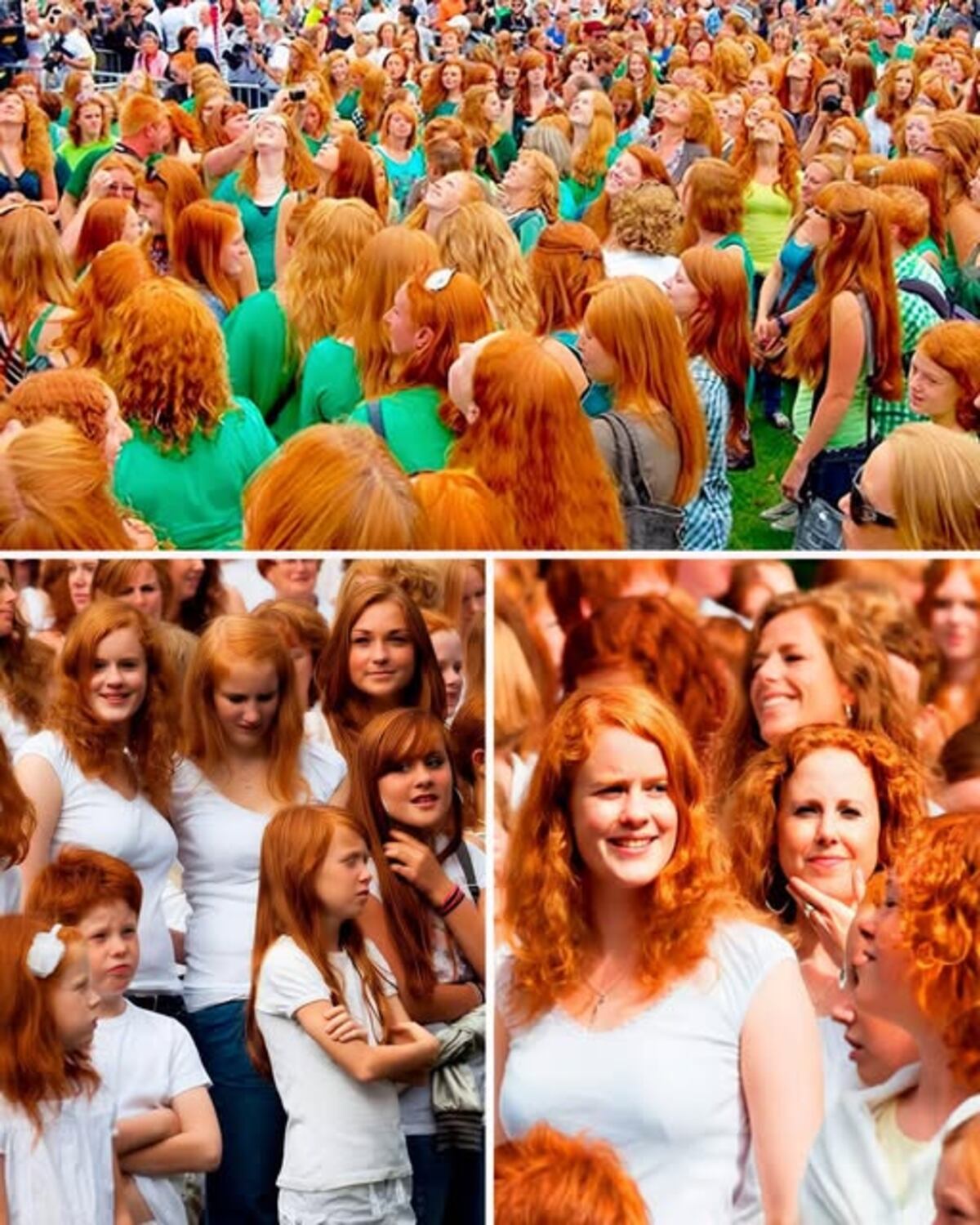 Redhead days se celebra en Países Bajos. (designyoutrust)