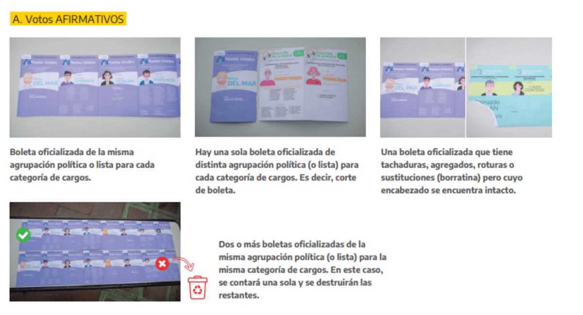 Captura del manual de la CNE.