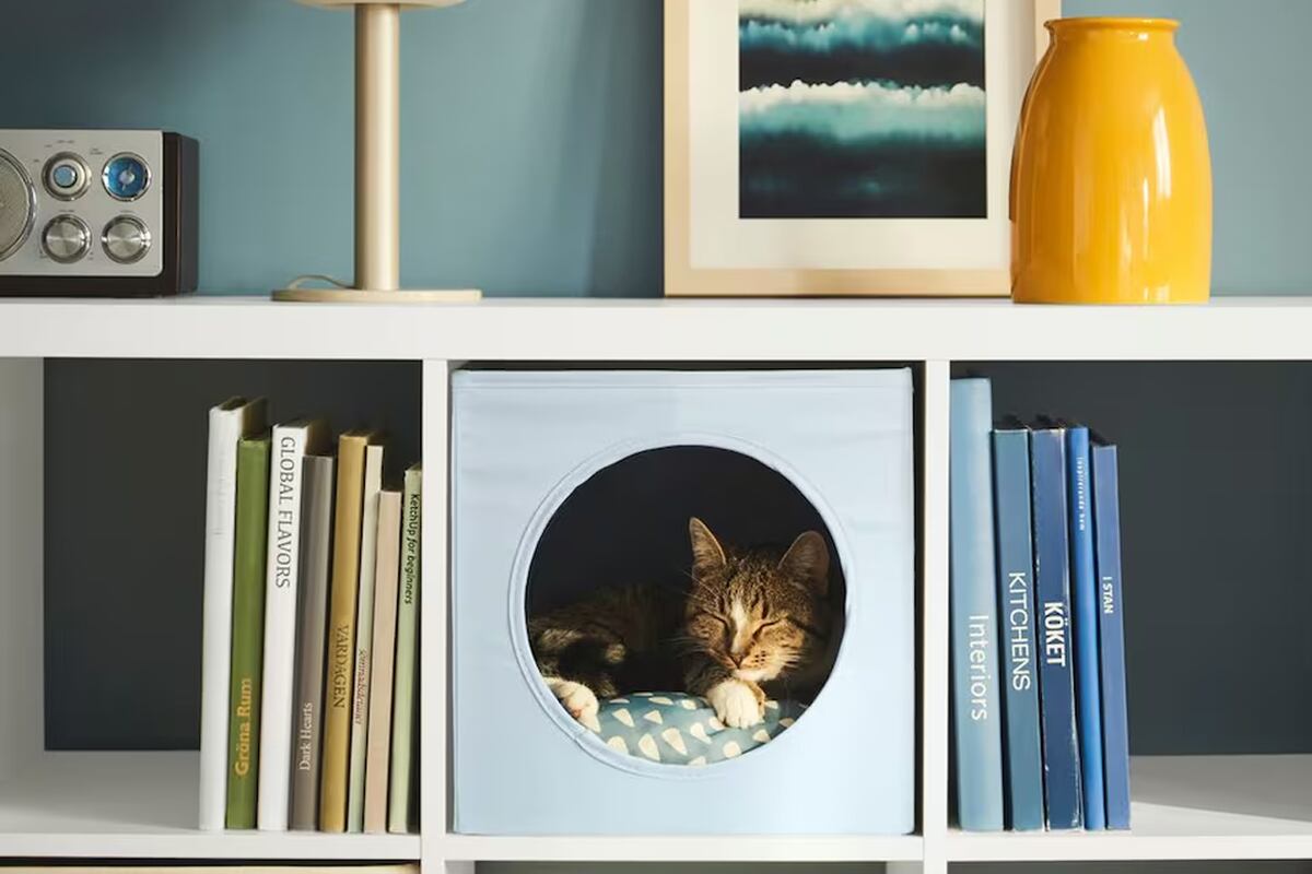 Vienen accesorios con diseños estéticos y modernos, que no desentonan con la deco. ¡Hola!