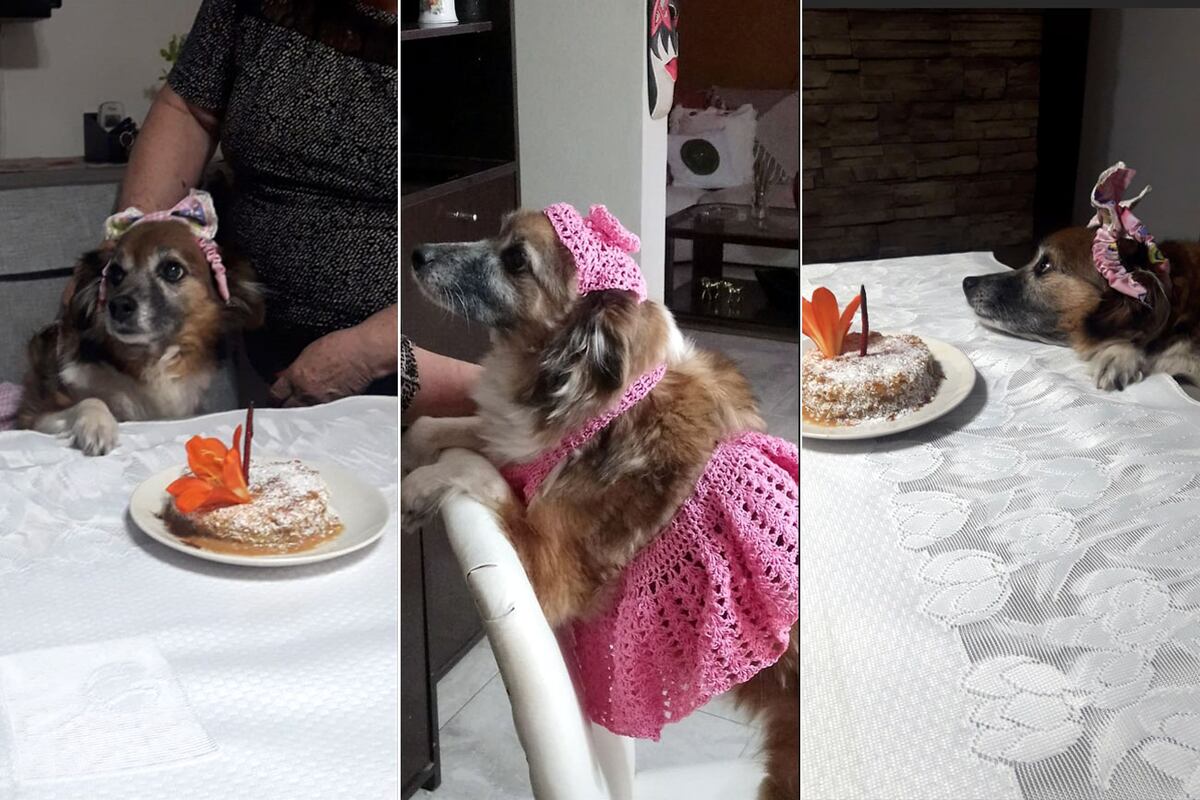 Karu, celebrando su cumpleaños. Foto: Ángela Mottola