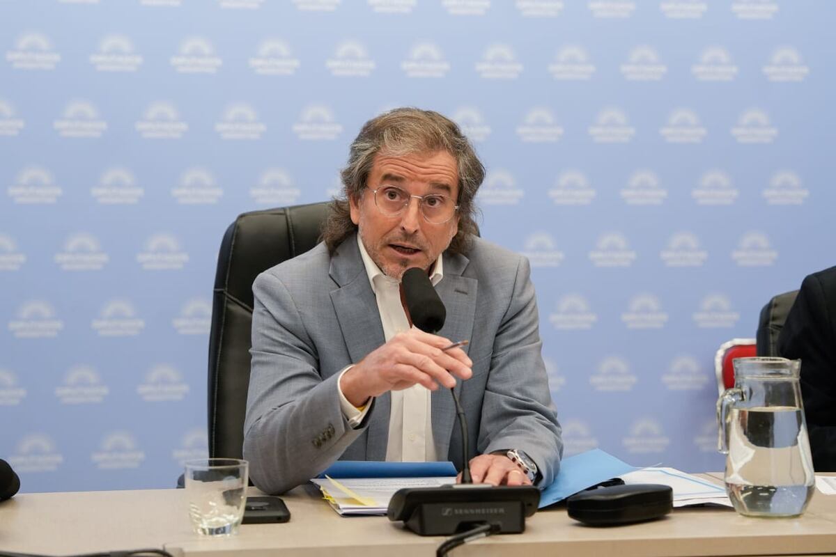 Bertie Benegas Lynch, presidente de la Comisión de Presupuesto y Hacienda de Diputados (Foto: HCDN)