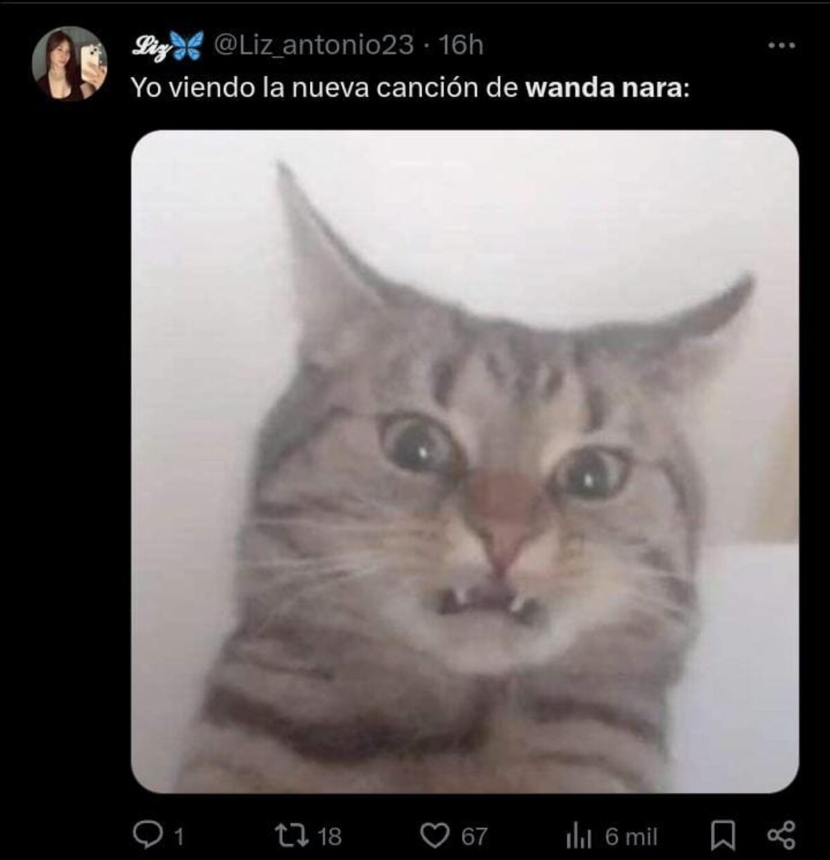 Memes por la nueva canción de wanda Nara.