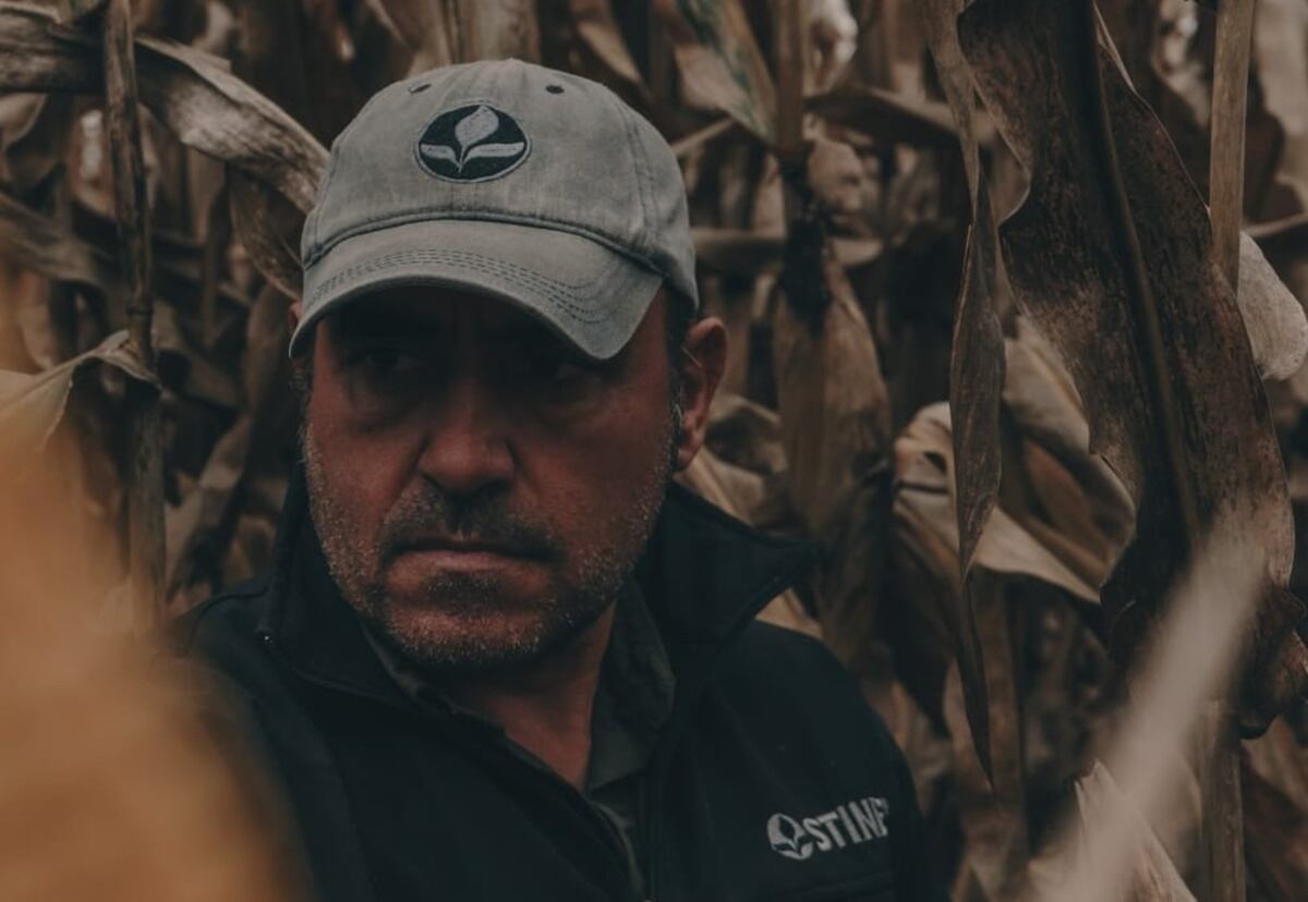 MANEJO EN MAÍZ. Martín Martínez, responsable zonal de centro-sur de Buenos Aires, La Pampa y Alto Valle de Río Negro, (Gentileza Stine)