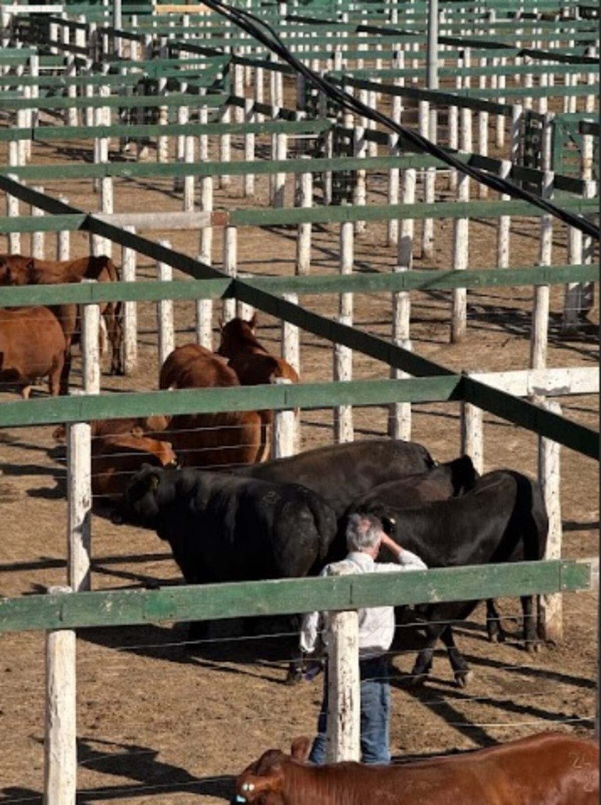 Block test en Jesús María.