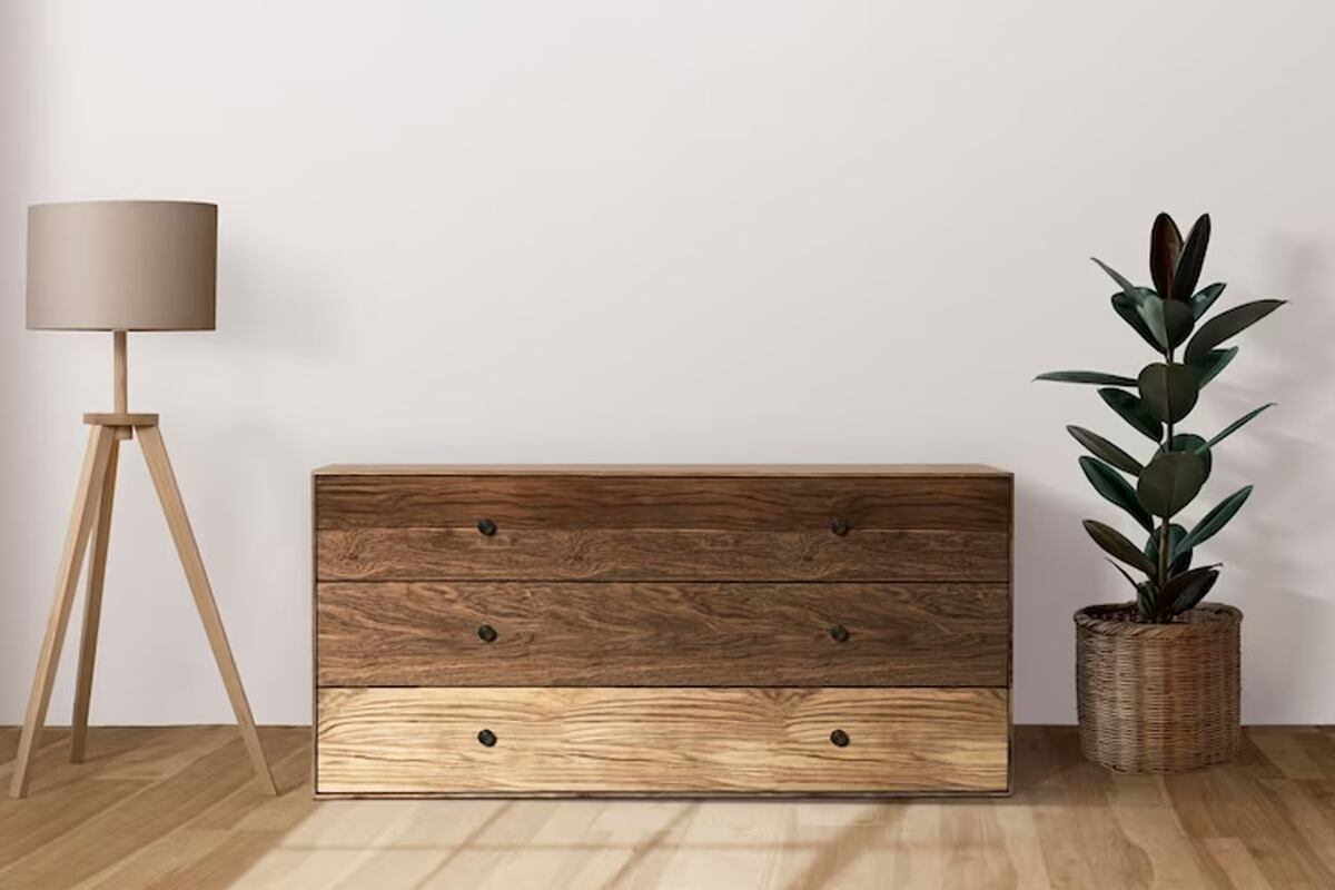 Las plantas son objetos naturales que añaden vida y textura a una habitación. Freepik.