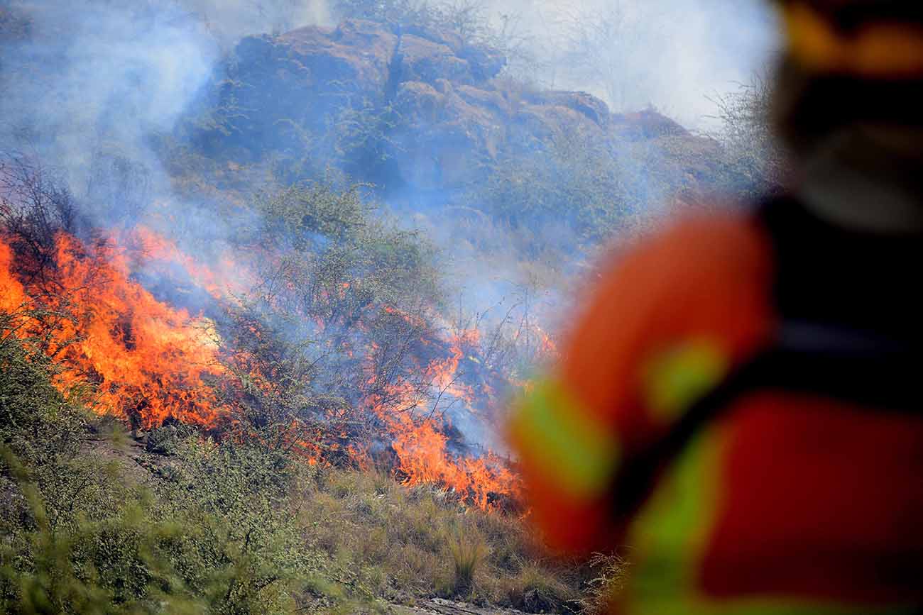 Incendio en el parque nacional Quebrada del Condorito, la semana pasada. (José Hernández / La Voz)