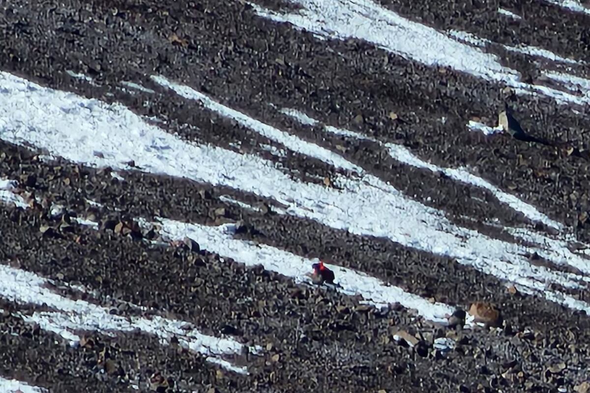 Rescataron con vida a un andinista japonés que cayó más de 300 metros en el Aconcagua