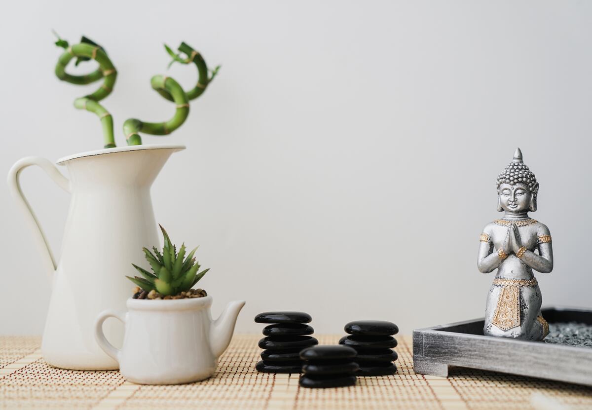 ¿Buscás que llegue el dinero? Por todos estos motivos deberías tener un cactus en tu casa