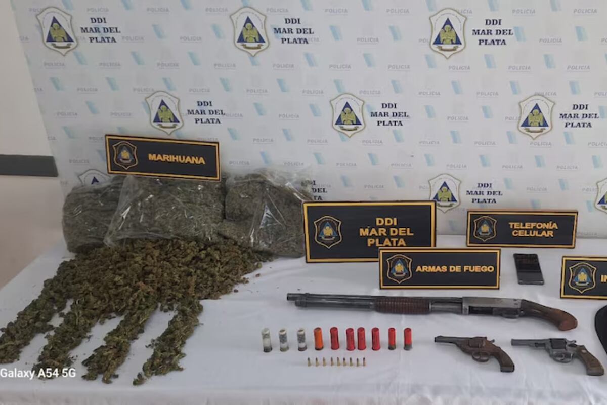 Cayó un ladrón por robarle a una empleada judicial: encontraron armas de guerra y 2 kilos de marihuana. (Gentileza)