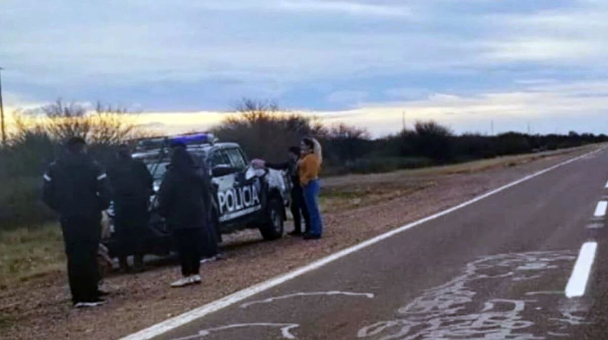 Detuvieron a una mujer en La Pampa por llevarse a su hija sin permiso. (Gentileza)