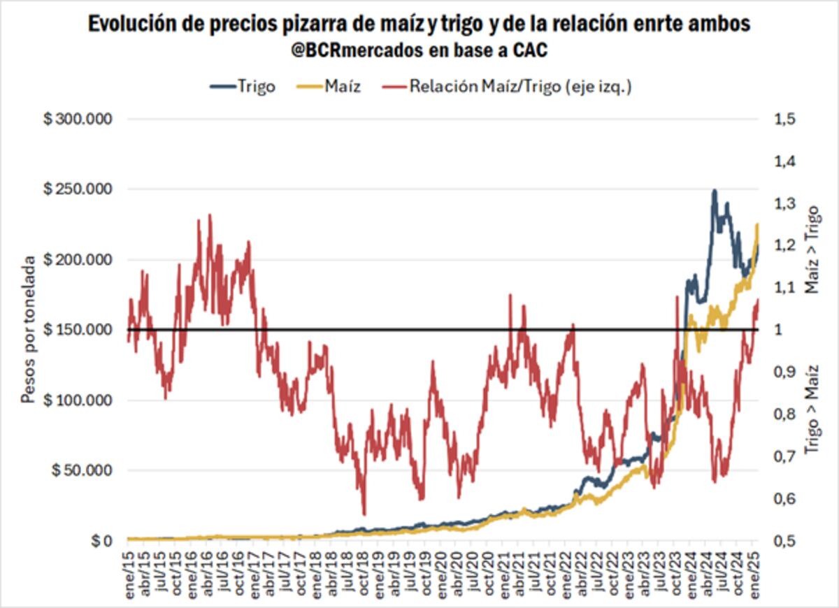 Procesamiento de soja