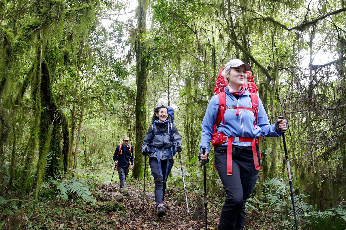 Senderos en el Parque Nacional Aconquija. (Foto: Turismo Tucumán)
