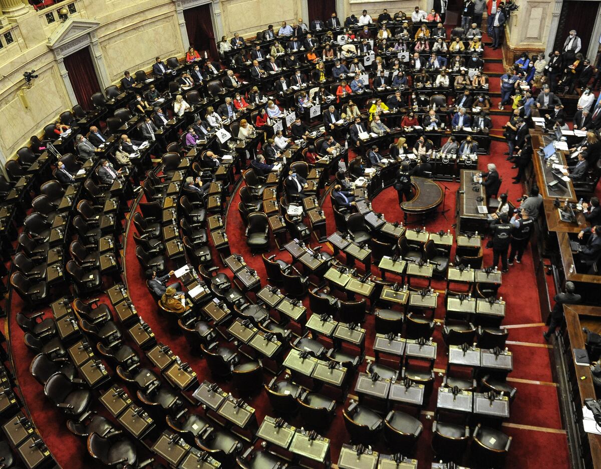 Sesión en la cámara de Diputados por la Ley de etiquetado , sin quórum .
Foto Federico Lopez Claro