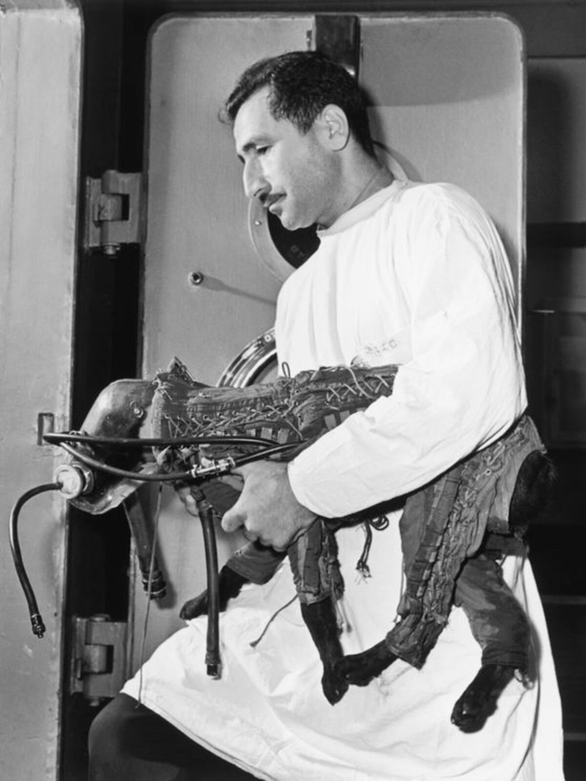 Laika recibió un duro adiestramiento durante un mes en un centro de entrenamiento del programa espacial soviético, en 1957.