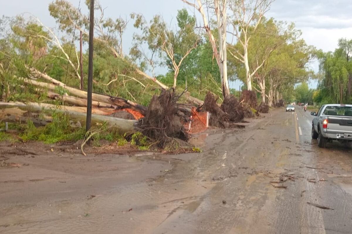 Temporal en Mendoza (Gentileza).