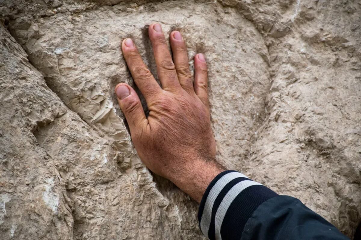 Una huella de mano tallada descubierta en un antiguo muro de foso alrededor de la Ciudad Vieja de Jerusalén. (Autoridad de Antigüedades de Israel)