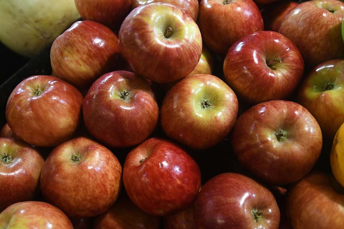 La manzana, una de las frutas que más beneficio tiene. (José Gutierrez / Los Andes)