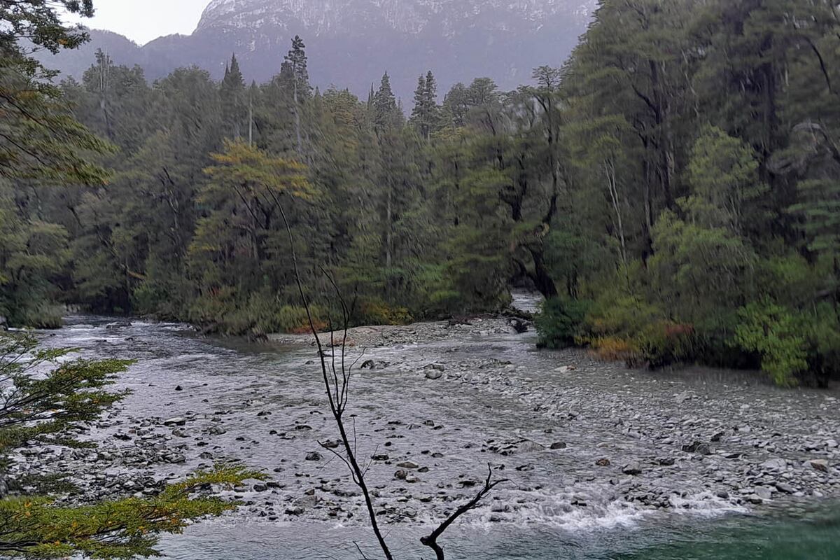 Parque Nacional Los Alerces.
