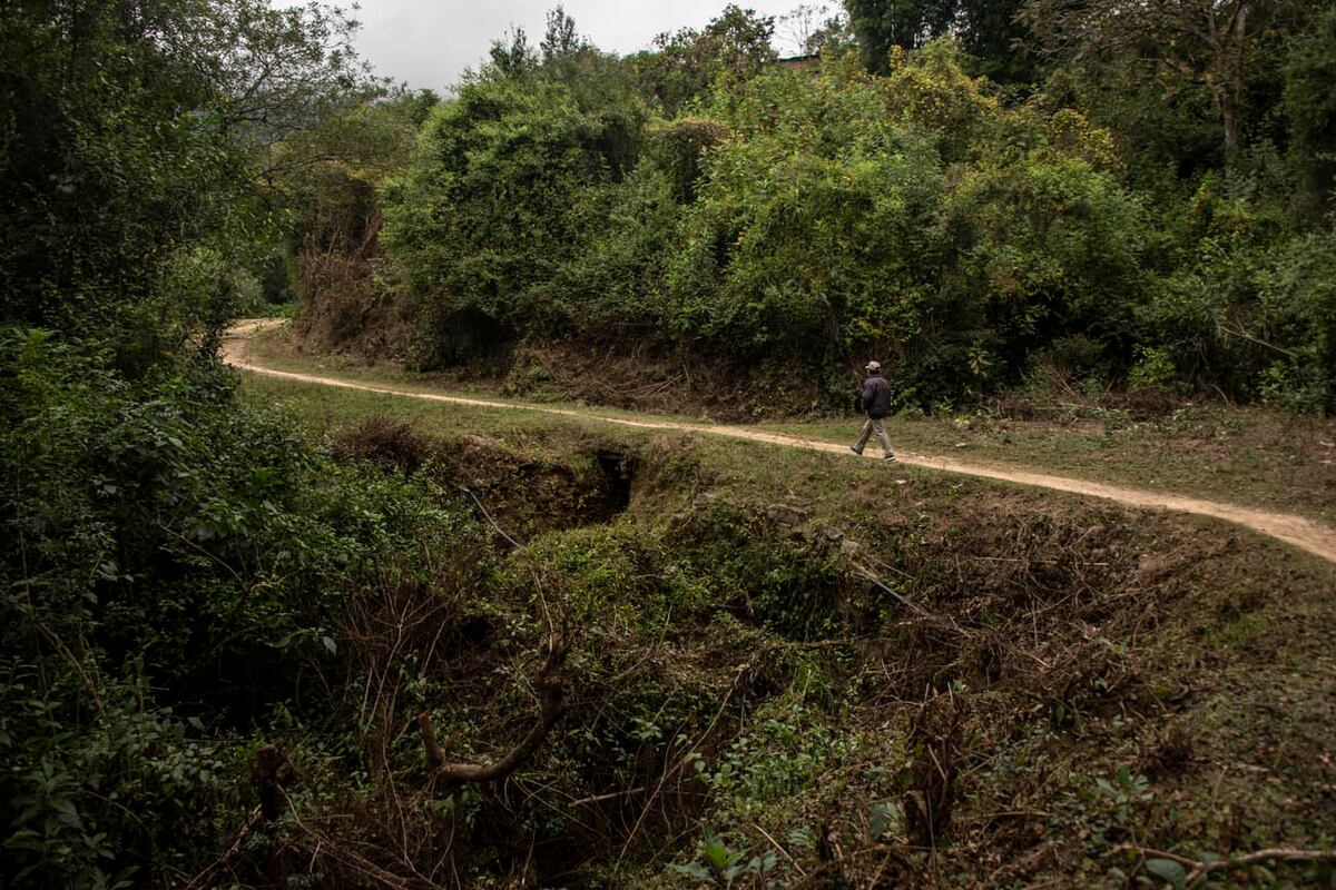 Baritú. En Salta, conserva la biodiversidad de las Yungas y su mística.