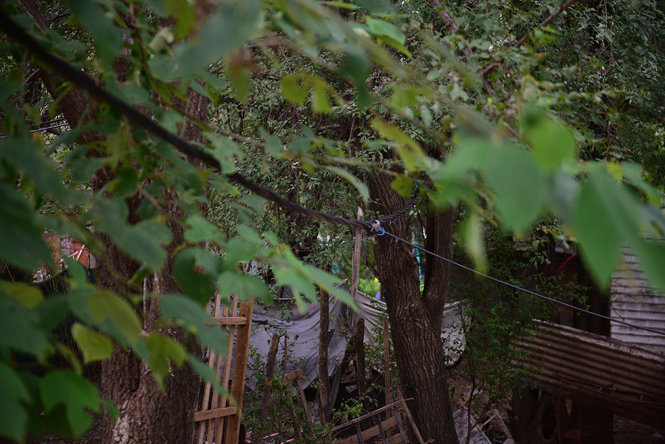 Preocupación entre los vecinos por los cables de luz y la falta de poda. (José Gabriel Hernández / La Voz)