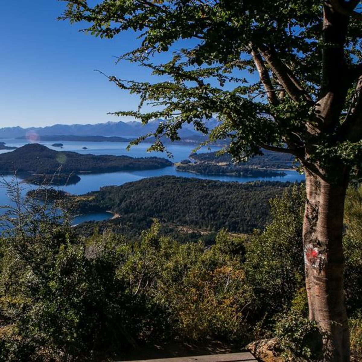 Qué visitar en Villa la Angostura y Bariloche durante el otoño. (Foto: Turismo oficial)