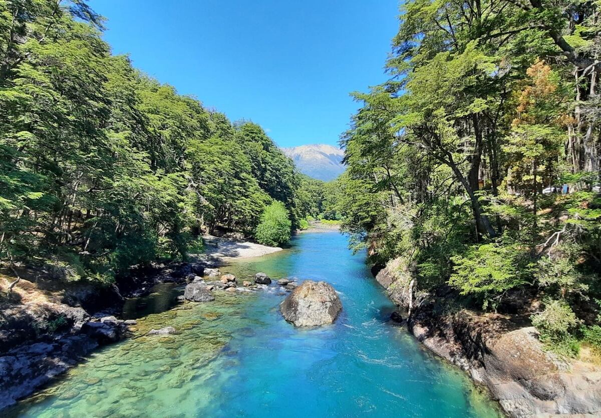 El Valle del Río Manso es un lugar único para apreciar la belleza de la Patagonia. (Foto: La Ruta Natural)
