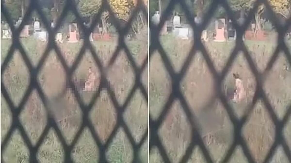 El hecho ocurrió en el cementerio "La Piedad", de Eldorado (Captura de video: Gentileza Stop en Línea).