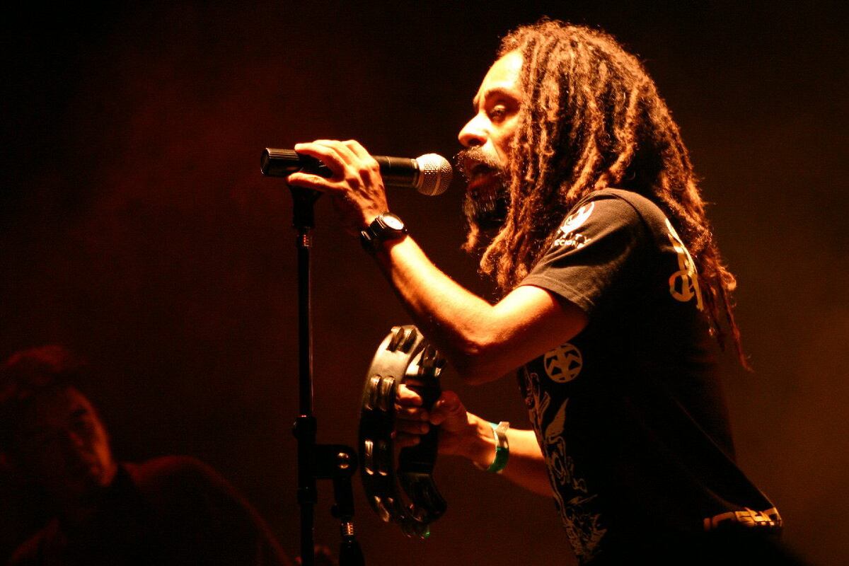 Pablo Molina en el Festival Oye Reggae con Todos Tus Muertos en Villa Rumipal en el año 2009 (La Voz/Archivo).