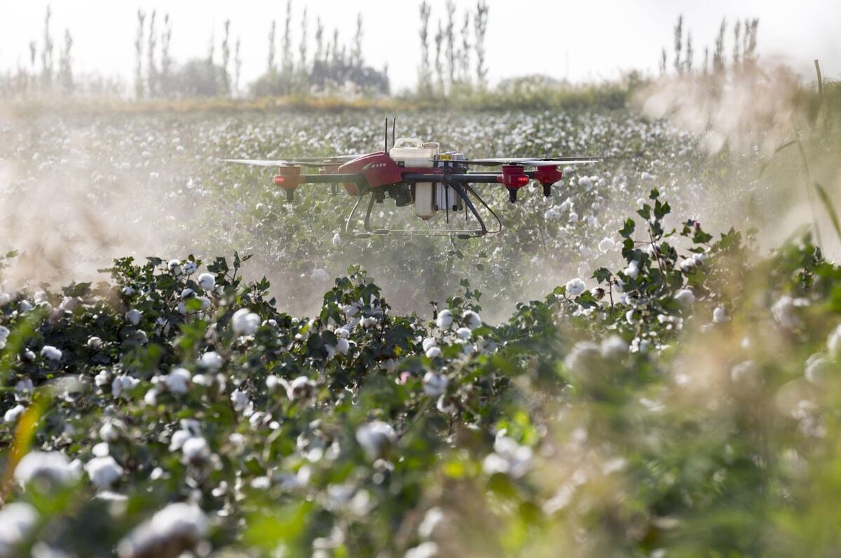 Drones. Especialistas advierten sobre los vacíos de la nueva normativa