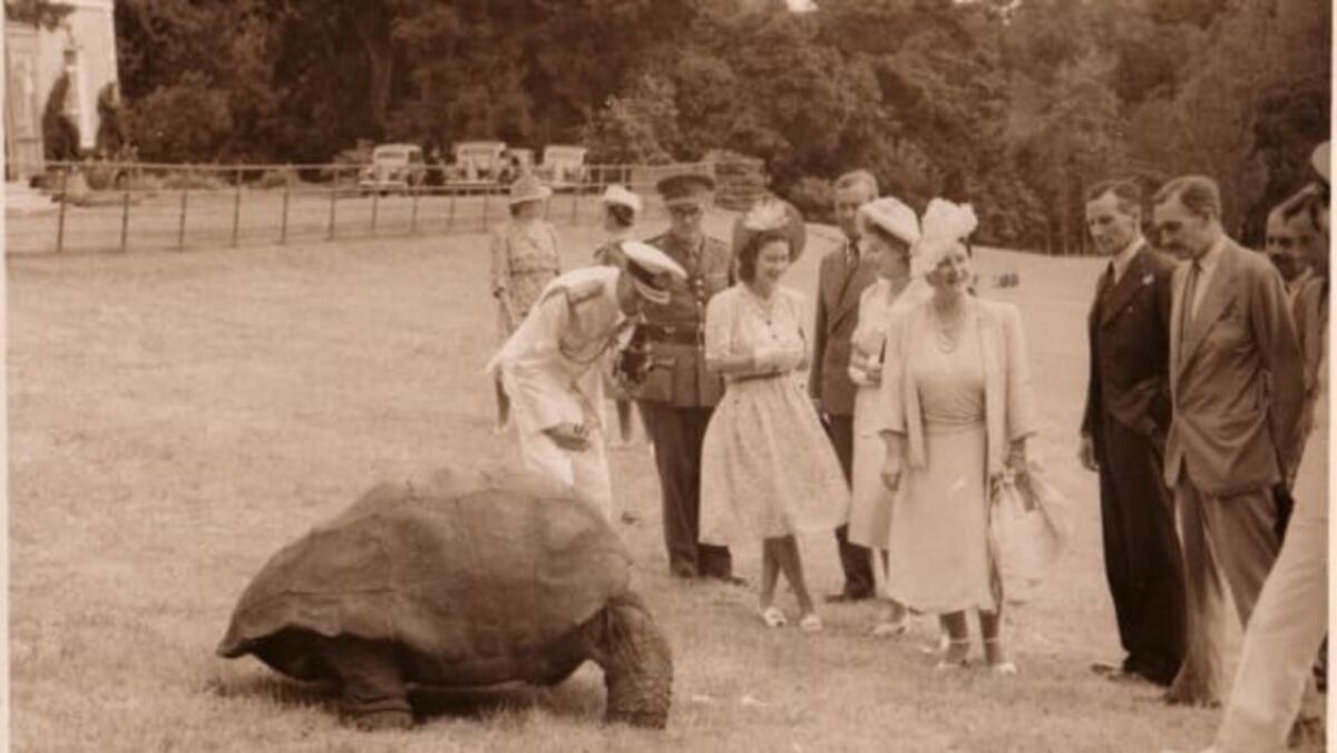 La tortuga más longeva del mundo.