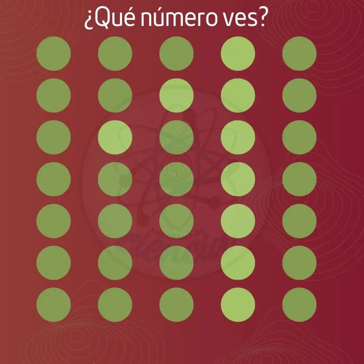 El acertijo visual.